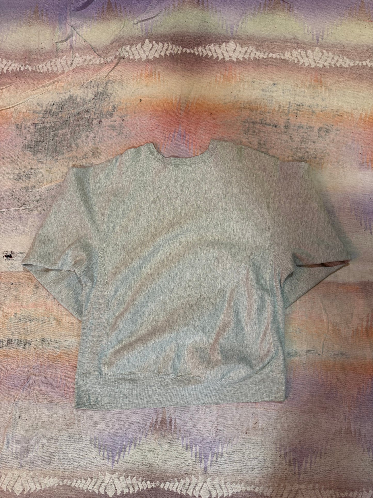 Vintage Princeton Sweat XL